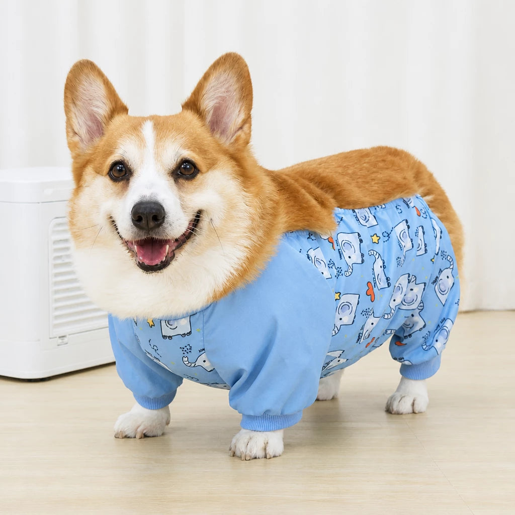 Full-Coverage Four-Leg Dog Raincoat
