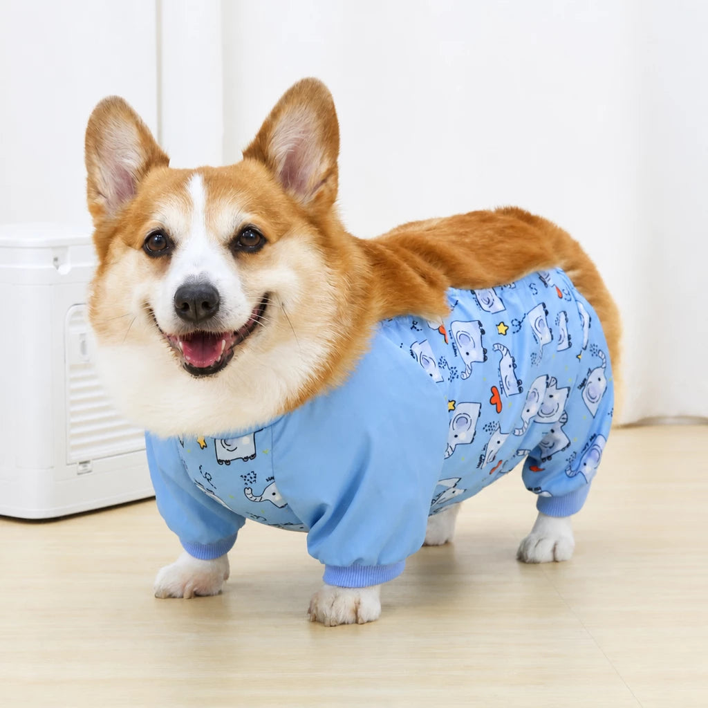 Full-Coverage Four-Leg Dog Raincoat