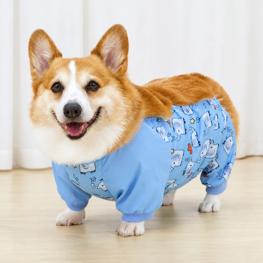 Full-Coverage Four-Leg Dog Raincoat