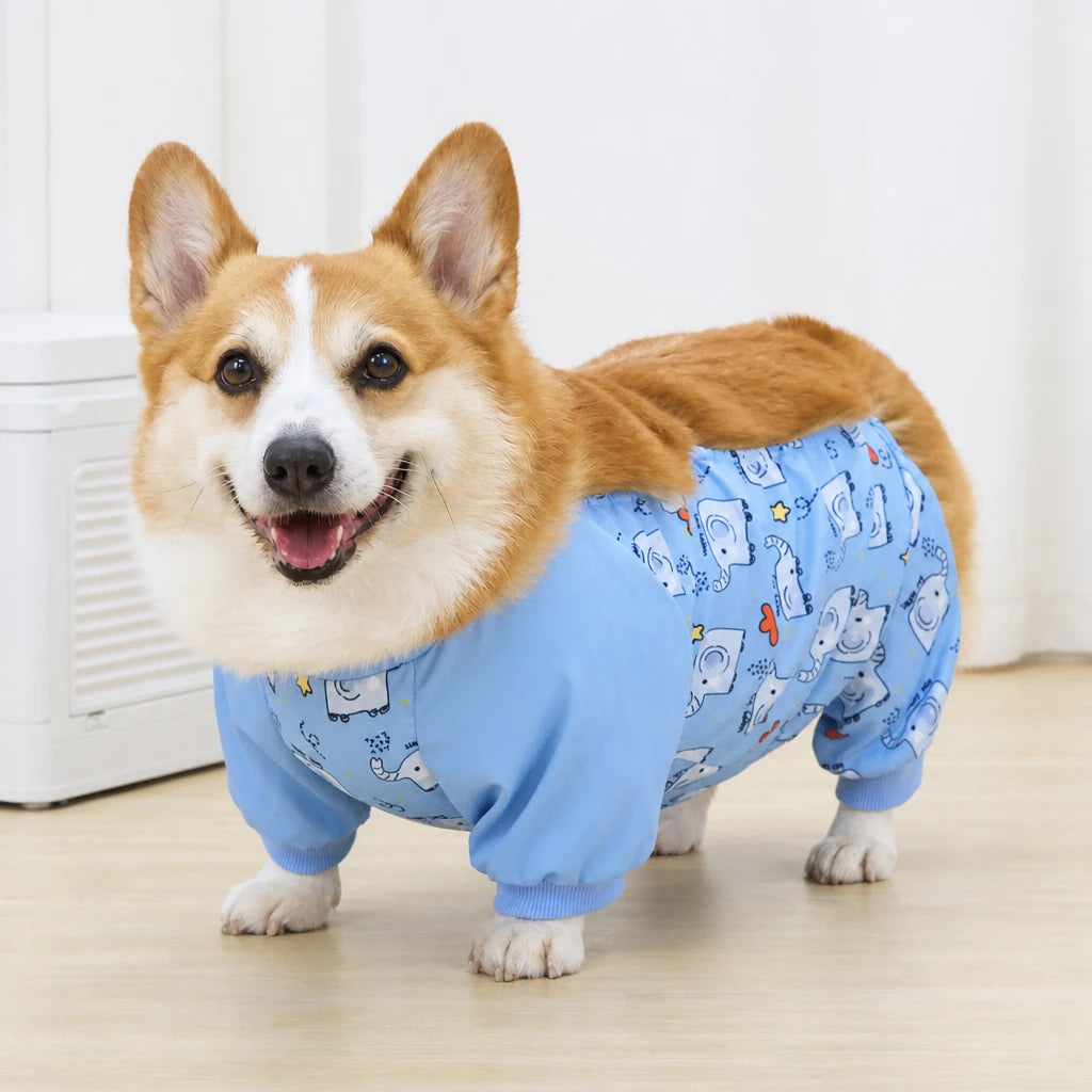 Full-Coverage Four-Leg Dog Raincoat
