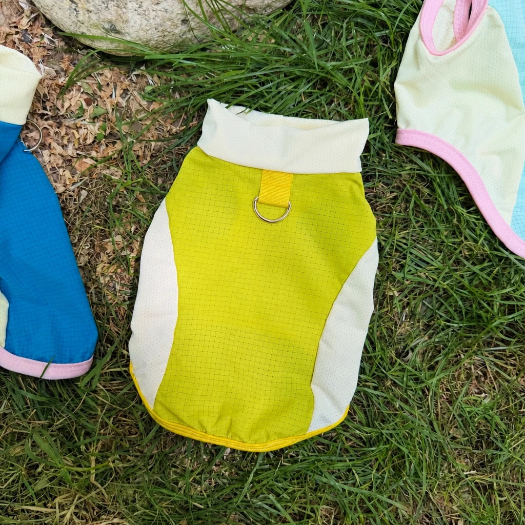 Lightweight Four-Leg Mesh Dog Shirt for Small & Medium Dogs