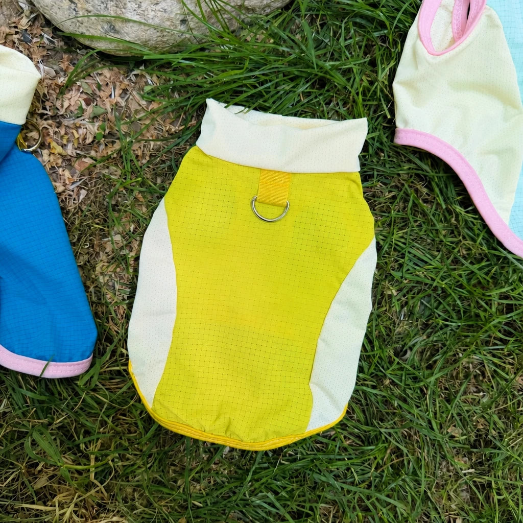 Lightweight Four-Leg Mesh Dog Shirt for Small & Medium Dogs
