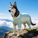 Summer Dog Clothing for Outdoor Wear
