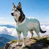 Summer Dog Clothing for Outdoor Wear