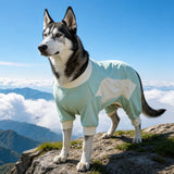 Summer Dog Clothing for Outdoor Wear