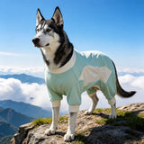 Summer Dog Clothing for Outdoor Wear