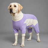 Summer Dog Clothing for Outdoor Wear
