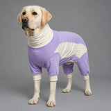 Summer Dog Clothing for Outdoor Wear