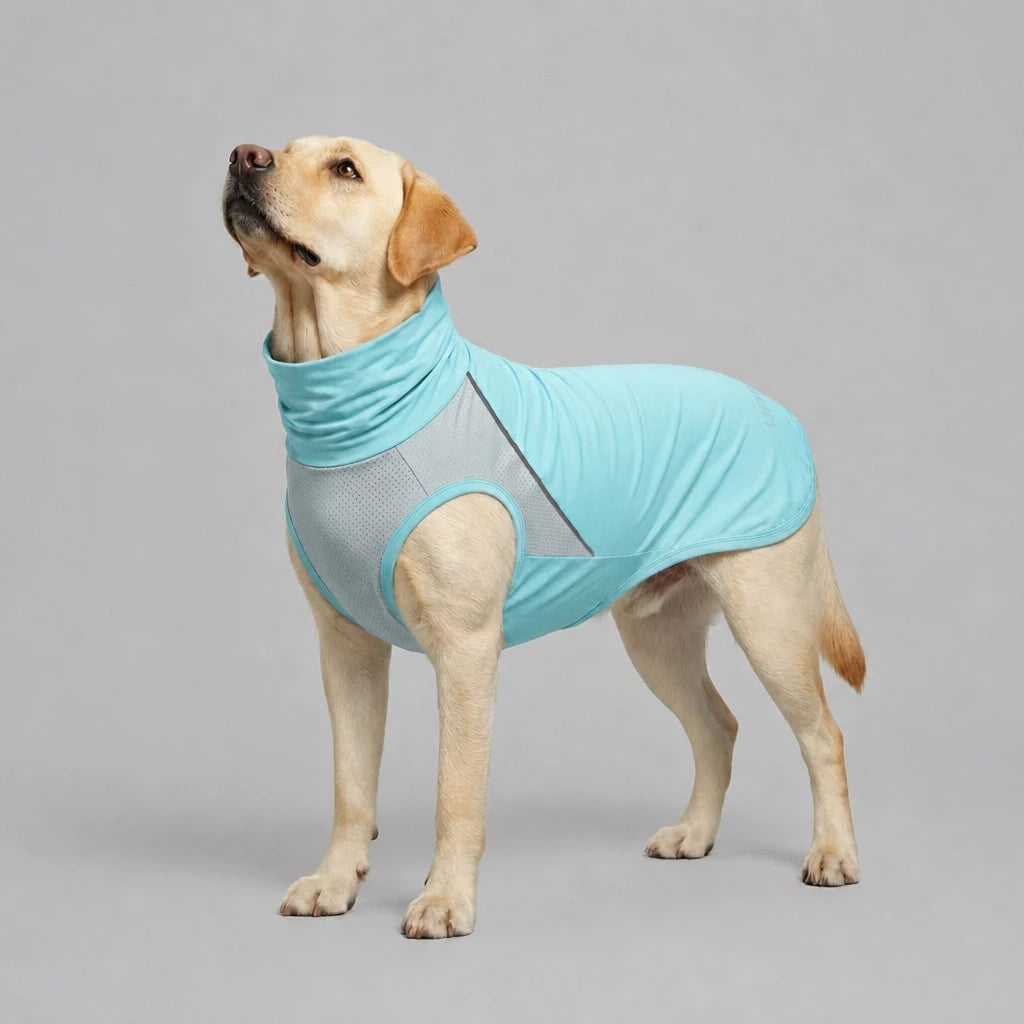 Summer Dog Clothing for Outdoor Wear