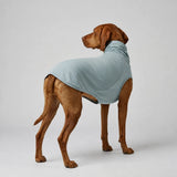 Summer Dog Clothing for Outdoor Wear