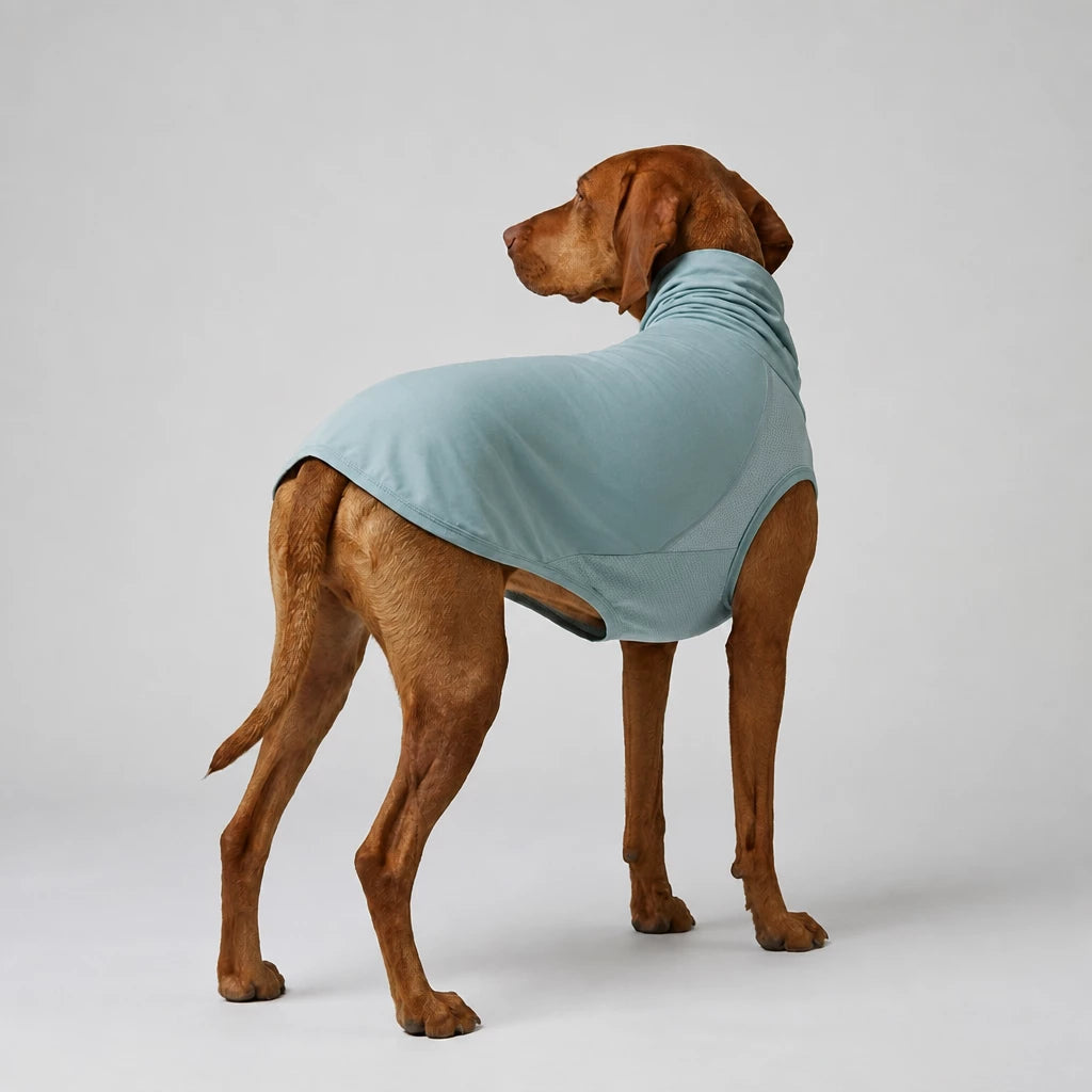 Summer Dog Clothing for Outdoor Wear