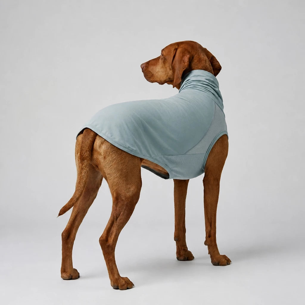Summer Dog Clothing for Outdoor Wear