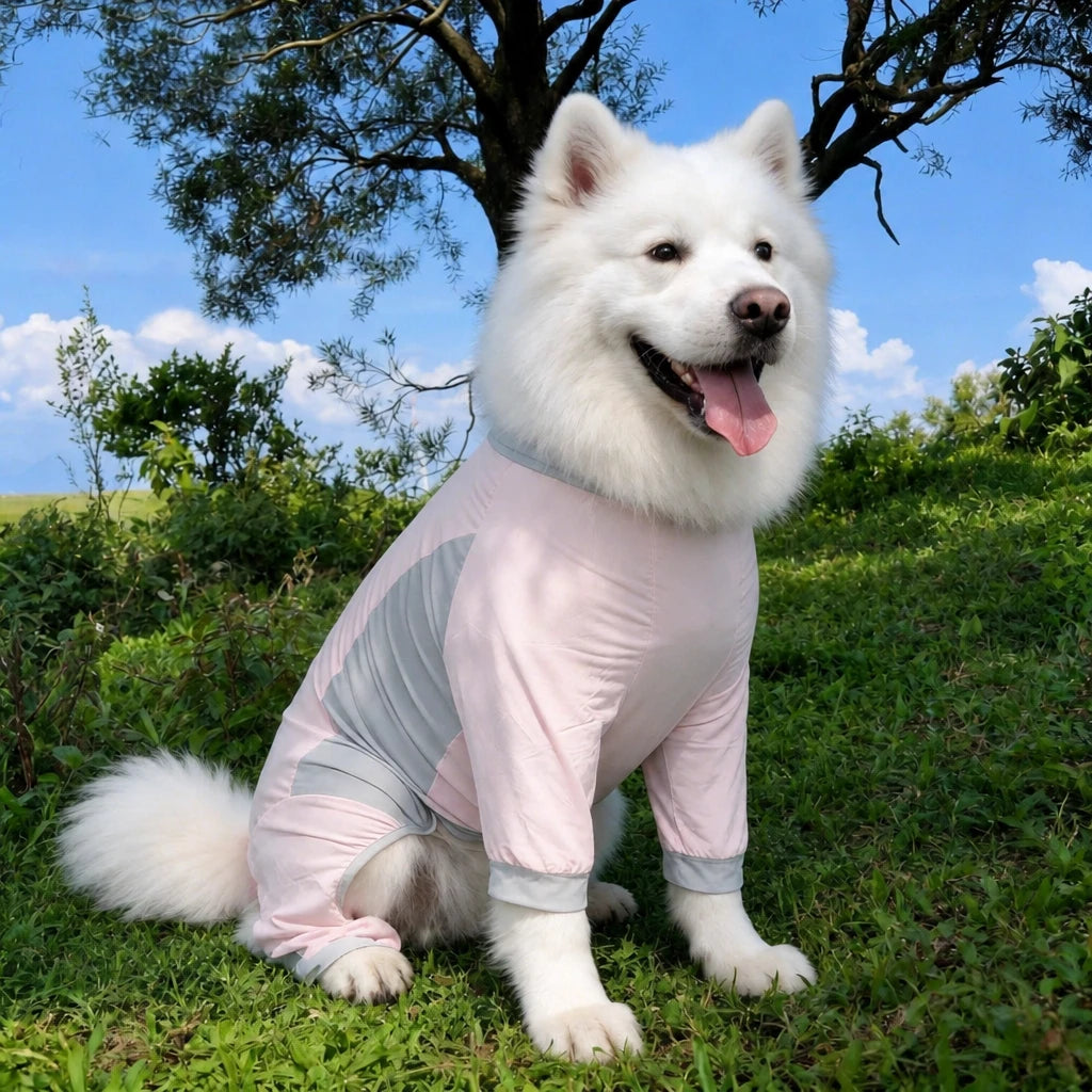 Summer Dog Clothing for Outdoor Wear