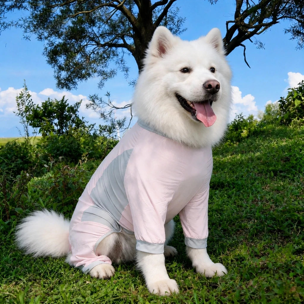 Summer Dog Clothing for Outdoor Wear
