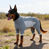 Summer Dog Clothing for Outdoor Wear