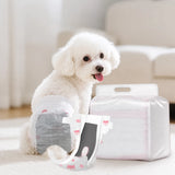 Disposable Dog Diapers for Male and Female Dogs