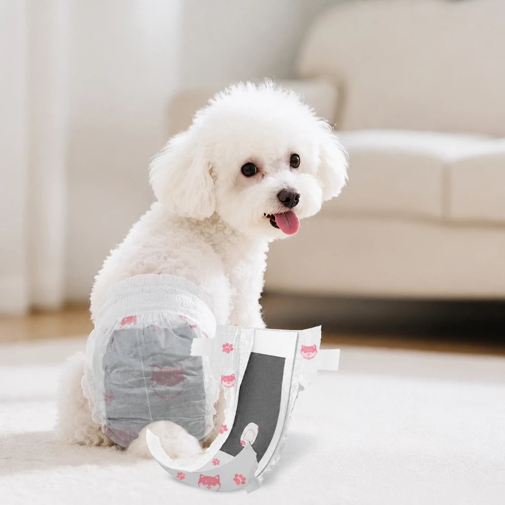 Disposable Dog Diapers for Male and Female Dogs