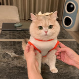 Lightweight Mesh Pet Vest for Cats and Small Dogs