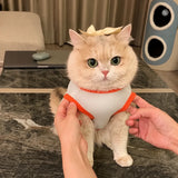 Lightweight Mesh Pet Vest for Cats and Small Dogs