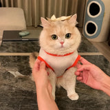 Lightweight Mesh Pet Vest for Cats and Small Dogs