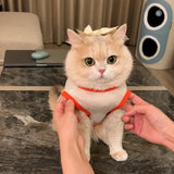 Lightweight Mesh Pet Vest for Cats and Small Dogs