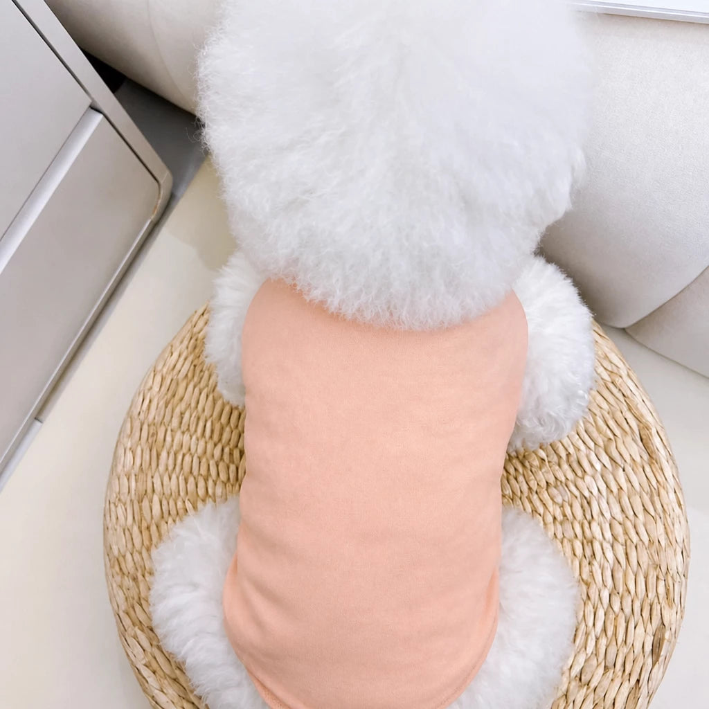 Lightweight Mesh Pet Vest for Cats and Small Dogs
