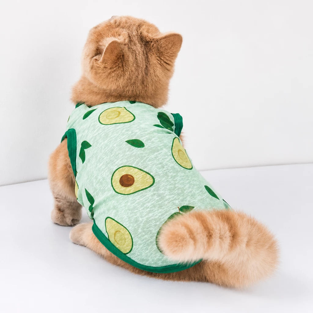Lightweight Mesh Pet Vest for Cats and Small Dogs