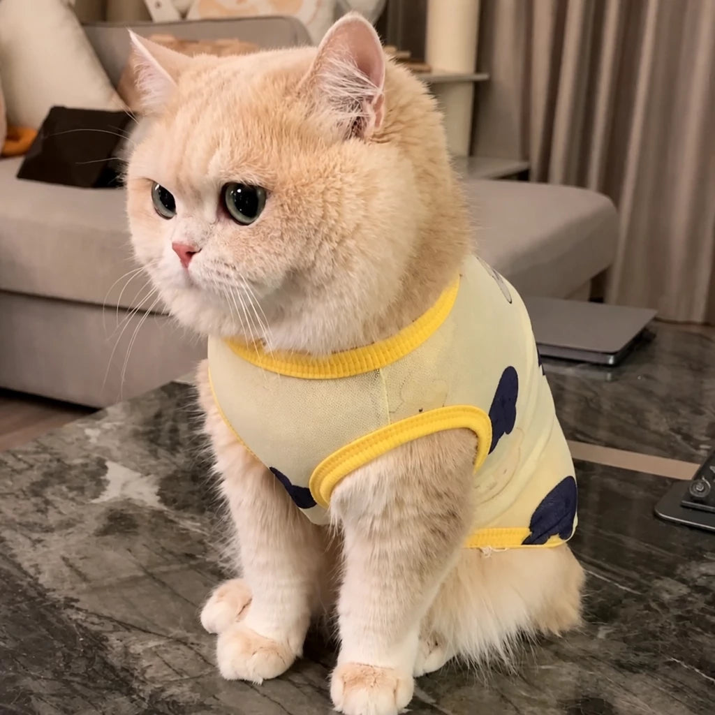 Lightweight Mesh Pet Vest for Cats and Small Dogs