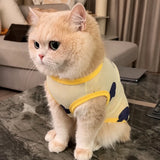 Lightweight Mesh Pet Vest for Cats and Small Dogs