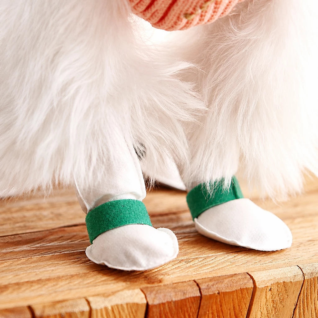Disposable Dog Paw Covers for Outdoor Walks