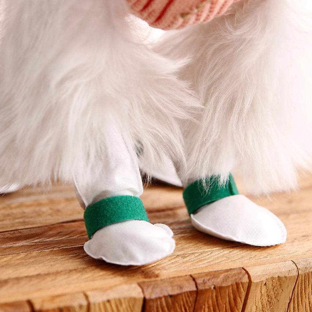 Disposable Dog Paw Covers for Outdoor Walks