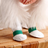 Disposable Dog Paw Covers for Outdoor Walks