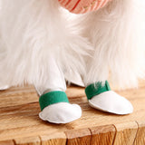 Disposable Dog Paw Covers for Outdoor Walks
