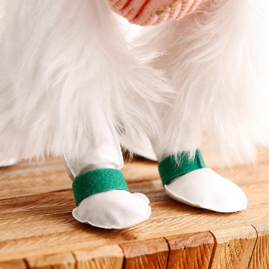 Disposable Dog Paw Covers for Outdoor Walks