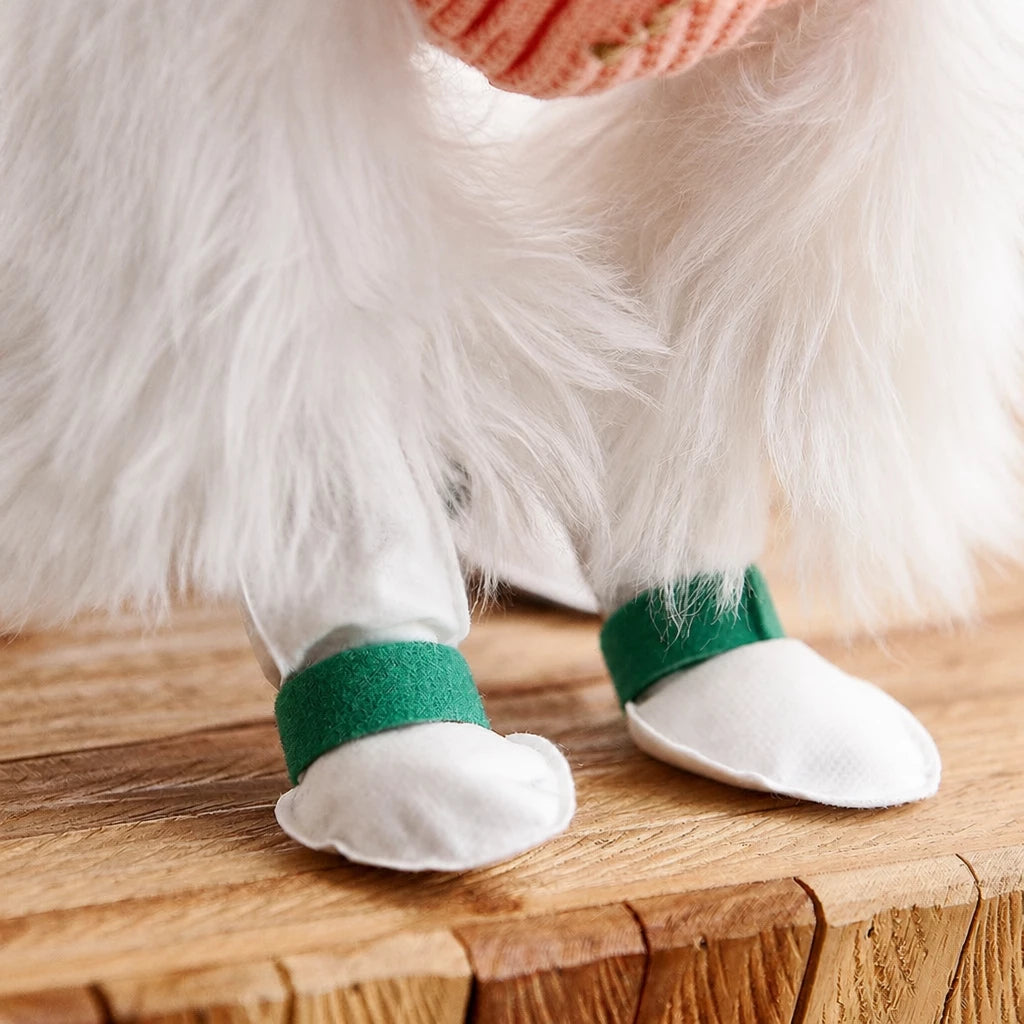 Disposable Dog Paw Covers for Outdoor Walks