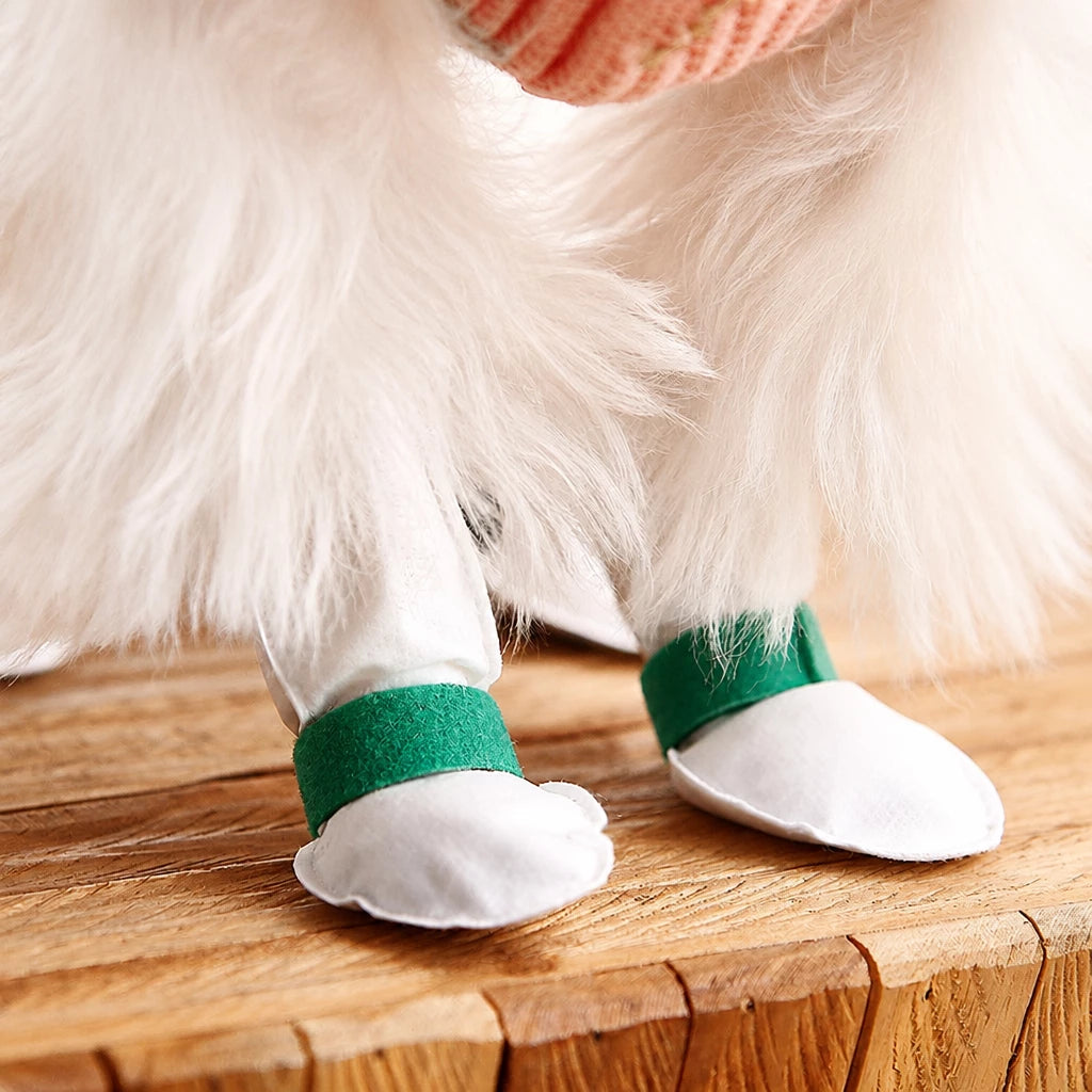 Disposable Dog Paw Covers for Outdoor Walks