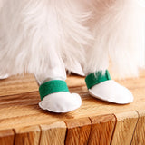 Disposable Dog Paw Covers for Outdoor Walks
