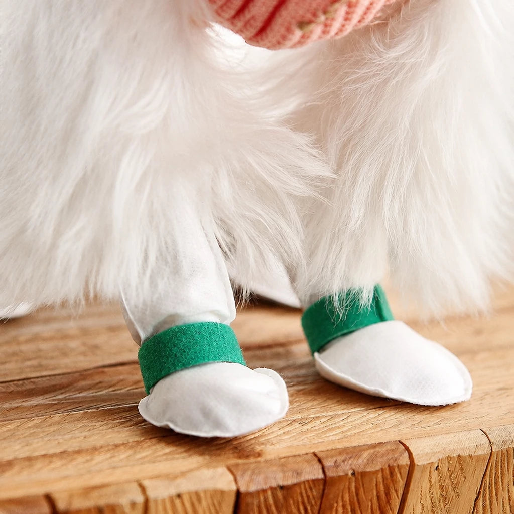 Disposable Dog Paw Covers for Outdoor Walks