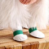 Disposable Dog Paw Covers for Outdoor Walks