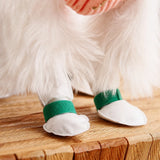 Disposable Dog Paw Covers for Outdoor Walks