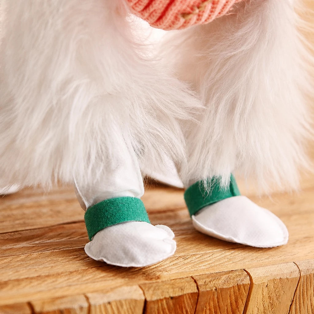 Disposable Dog Paw Covers for Outdoor Walks