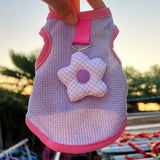 Cat & Small Dog Vest with Leash Opening