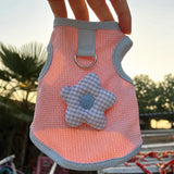 Cat & Small Dog Vest with Leash Opening