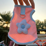 Cat & Small Dog Vest with Leash Opening