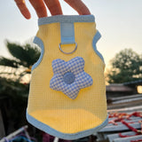 Cat & Small Dog Vest with Leash Opening