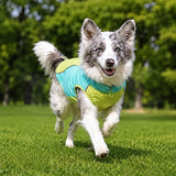 Lightweight Summer Outdoor Vest for Dogs