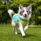 Lightweight Summer Outdoor Vest for Dogs
