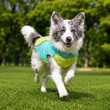 Lightweight Summer Outdoor Vest for Dogs