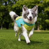 Lightweight Summer Outdoor Vest for Dogs