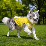 Lightweight Summer Outdoor Vest for Dogs
